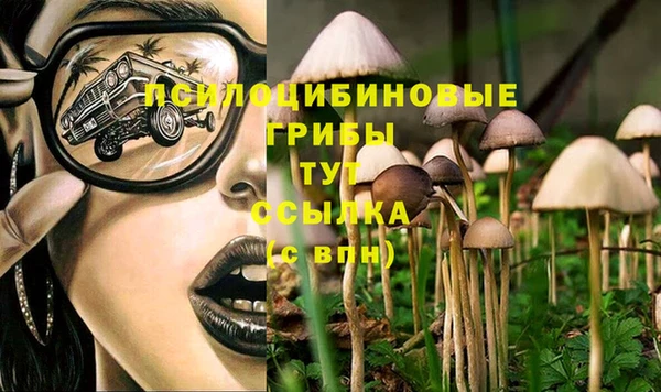 apvp Нижний Тагил