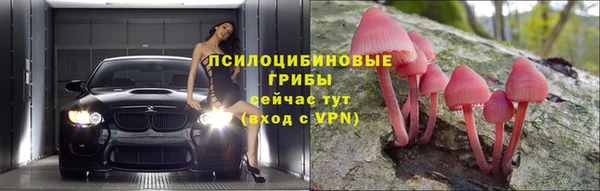 гидропоника Бугульма