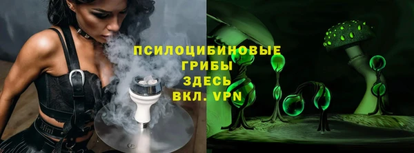 спиды Бородино