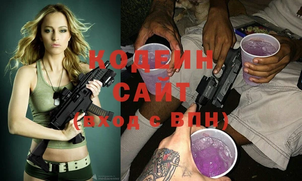 спиды Бородино