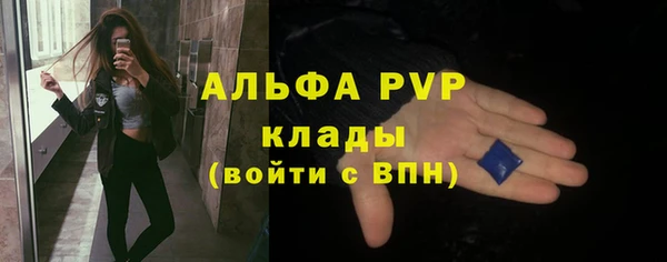 спиды Бородино