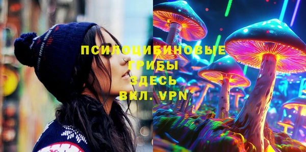 гидропоника Бугульма