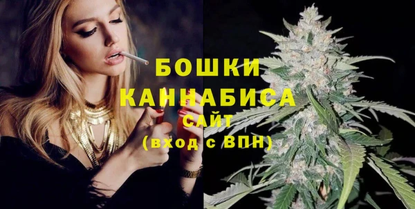 спиды Бородино