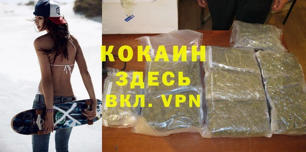 спиды Бородино