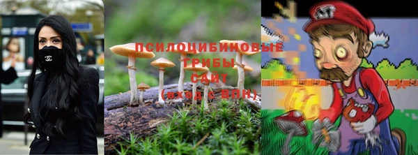 гидропоника Бугульма