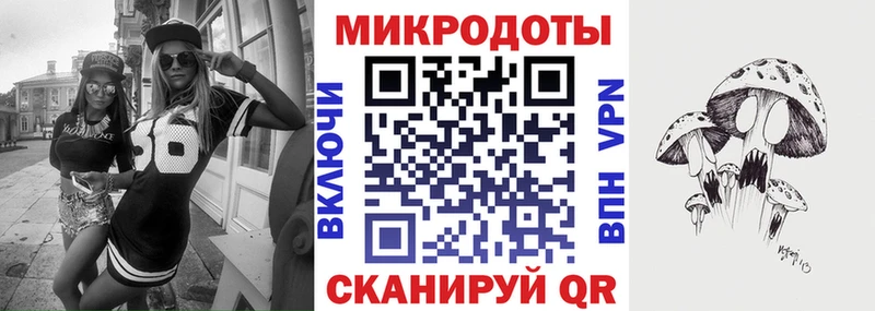 где купить наркотик  kraken ССЫЛКА  Псилоцибиновые грибы мицелий  Вилючинск 