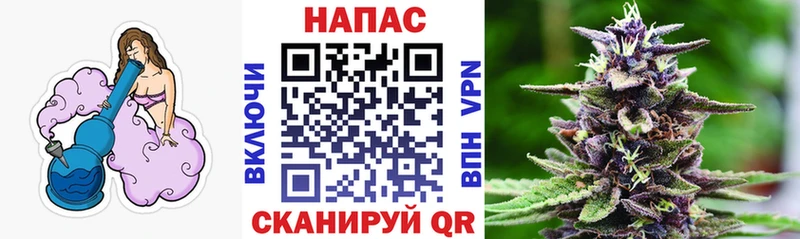 где можно купить   Вилючинск  Бошки Шишки OG Kush 